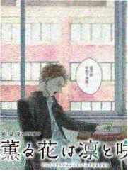 红桃视频高清免费观看在线 - 极限挑战